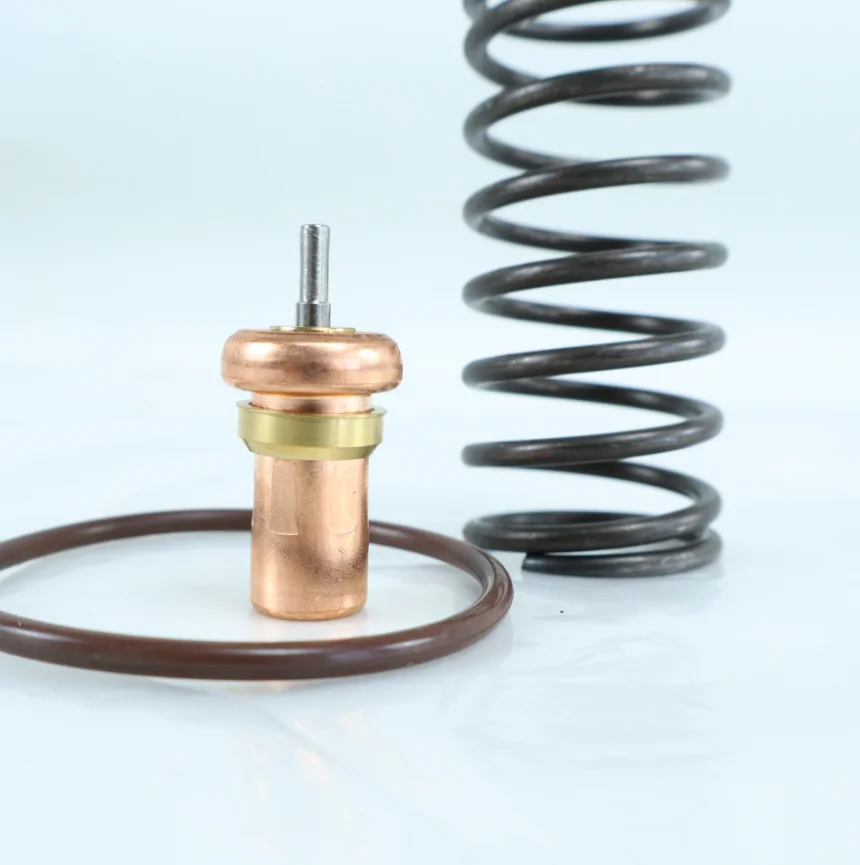 QX105701 Thermostatic Valve Repair Kits One-stop Sale of Industrial air Compressor Parts Customization Accepted Whole Series - Image 5