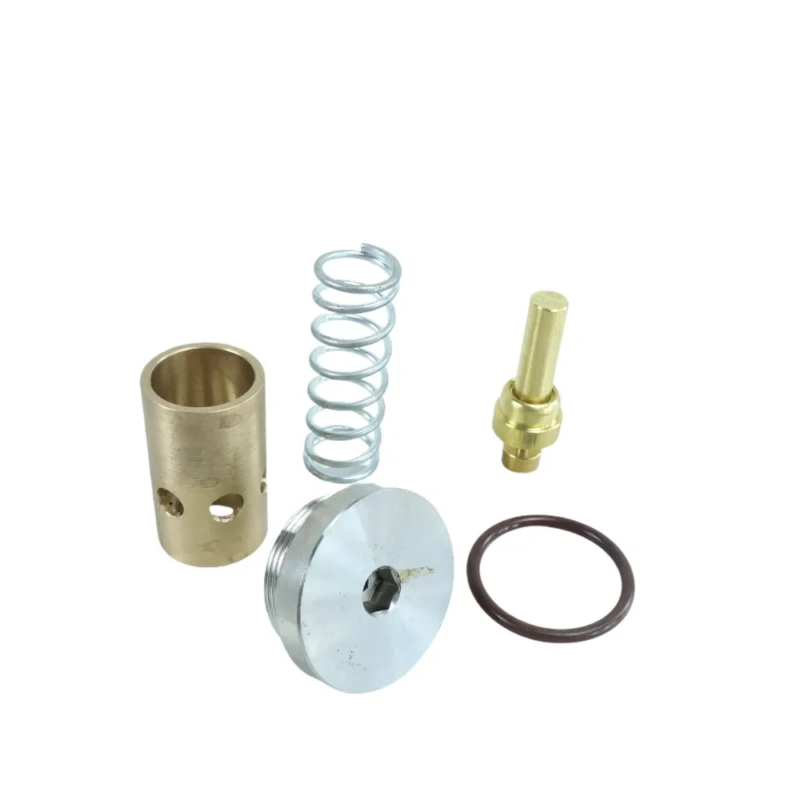 2420426667P Thermostatic Valve Repair Kits One-stop Sale of Industrial air Compressor Parts Customization Accepted Whole Sales