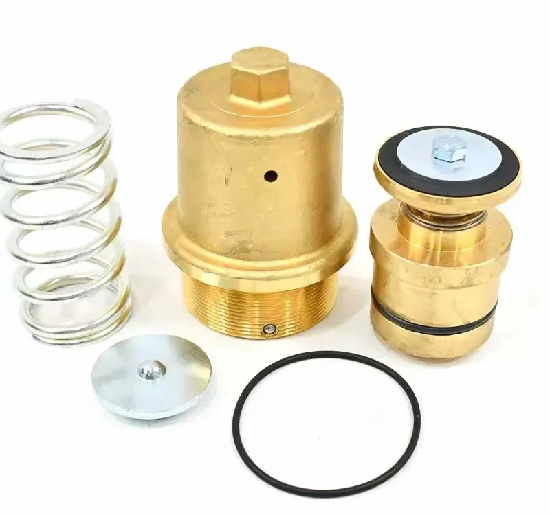 202127.20021 OEM Minimum Pressure Valve Maintenance Kits One-stop Sale of Industrial air Compressor Parts Customization