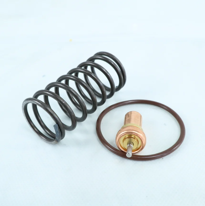 QX105701 Thermostatic Valve Repair Kits One-stop Sale of Industrial air Compressor Parts Customization Accepted Whole Series - Image 3