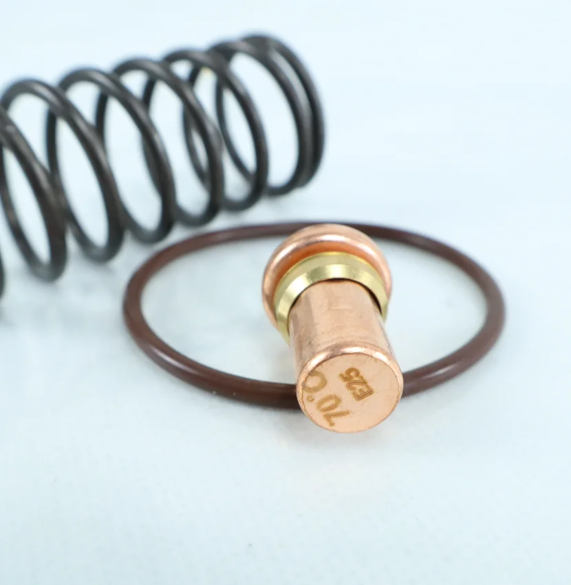 QX105701 Thermostatic Valve Repair Kits One-stop Sale of Industrial air Compressor Parts Customization Accepted Whole Series - Image 2
