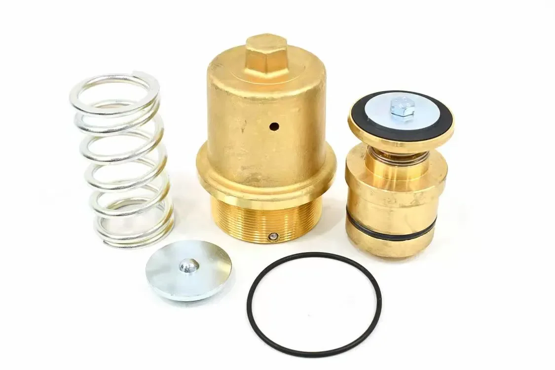 202127.20021 OEM Minimum Pressure Valve Maintenance Kits One-stop Sale of Industrial air Compressor Parts Customization - Image 3