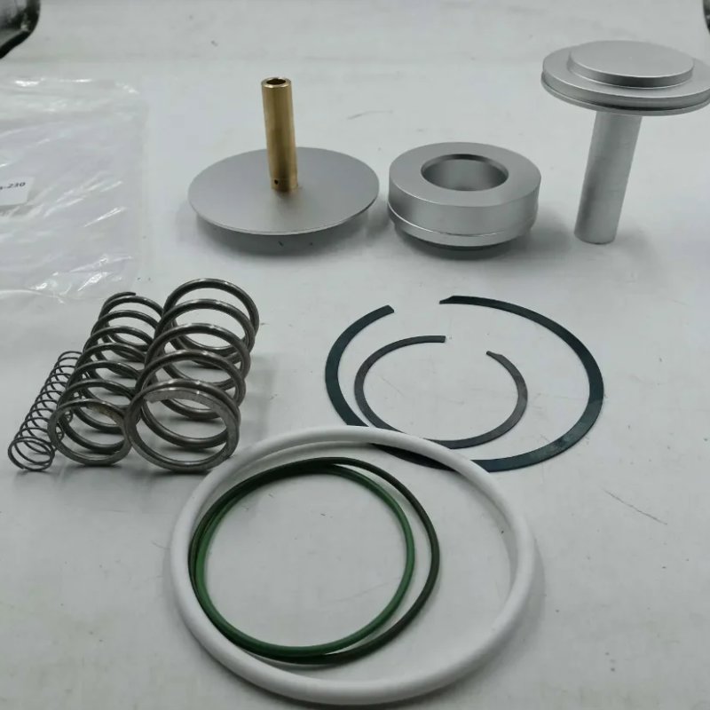 02250166-230 Alternative Repair Kits One-stop Sale of Industrial air Compressor Parts Customization Accepted Whole Sales