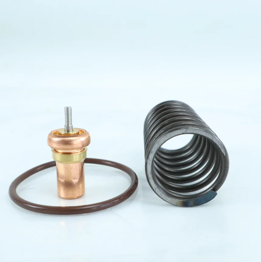 QX105701 Thermostatic Valve Repair Kits One-stop Sale of Industrial air Compressor Parts Customization Accepted Whole Series - Image 4