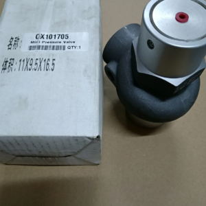 QX101705 Minimum Pressure Valve Industrial air Compressor Parts Factory Direct Sales